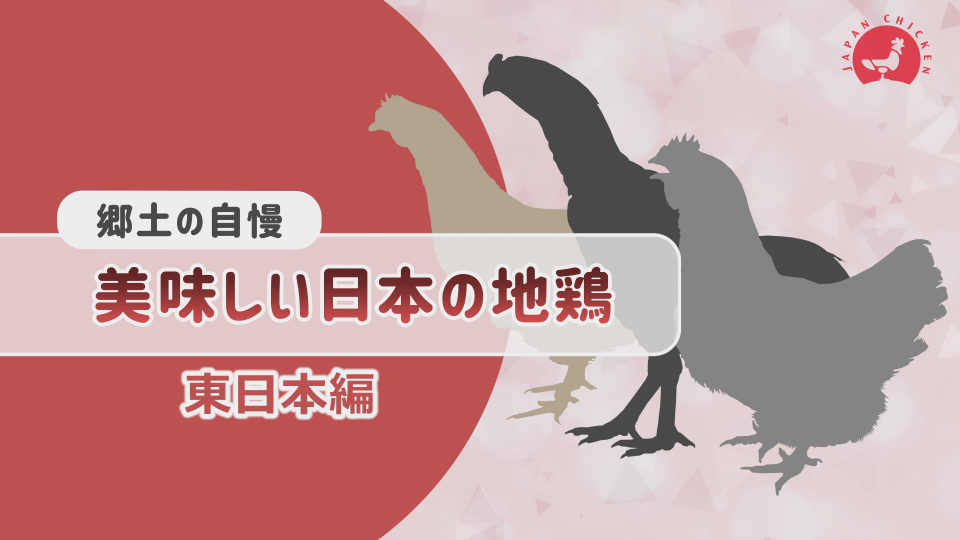 美味しい日本の地鶏 もっとチキンが好きになる チキンの里 一般社団法人 日本食鳥協会