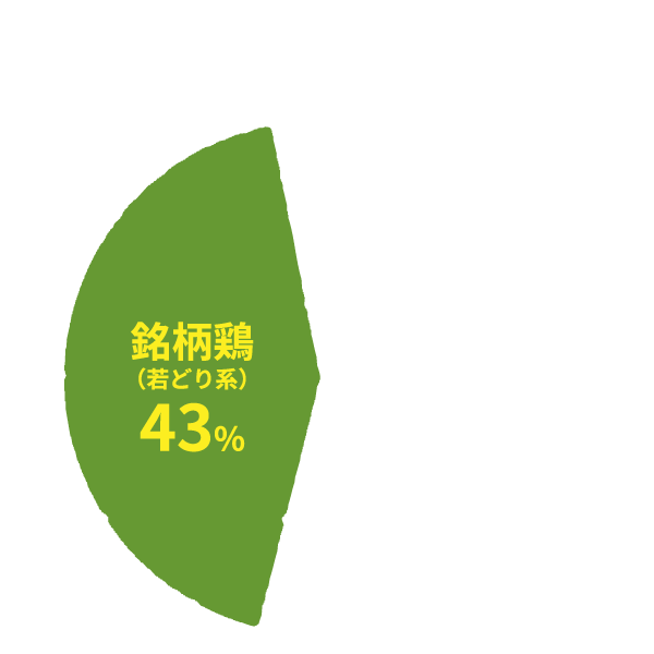 銘柄鶏(赤どり系) 43%