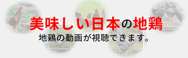もっとチキンが好きになる チキンの里 一般社団法人 日本食鳥協会 もっとチキンが好きになる チキンの里 一般社団法人 日本食鳥協会