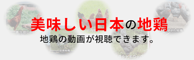美味しい日本の地鶏